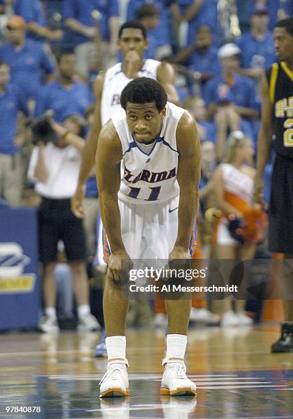 Florida guard Taurean Green sets for play against Alabama State at the Stephen C. O'Conner Center November 28, 2005 in Gainesville, Florida. The...