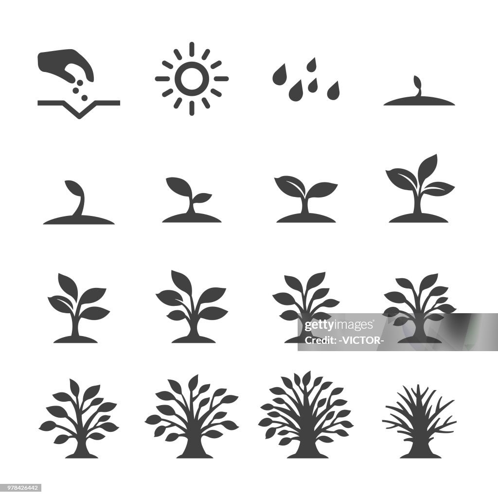 Growing Tree Icons - Acme Series