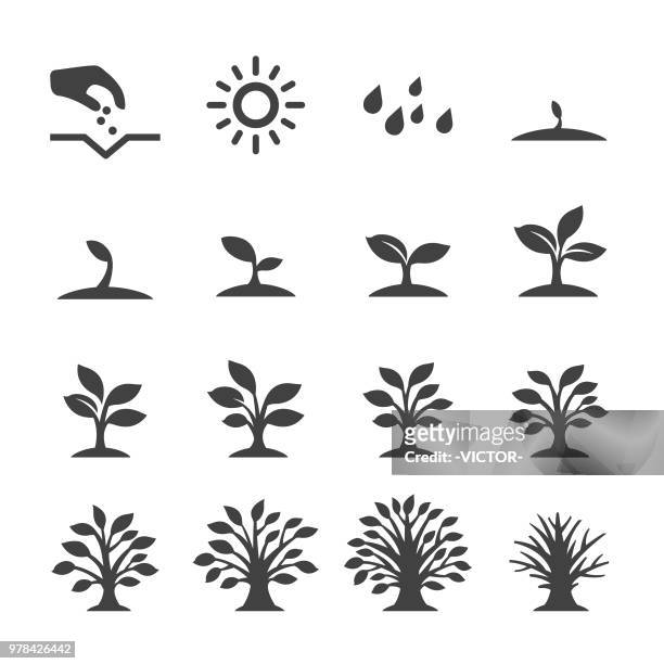 growing tree icons - acme series - sky and trees green leaf illustration stock illustrations