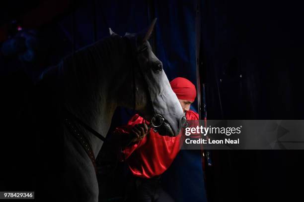 Horse is led between backstage areas, ahead of a matinee performance at Zippo's circus in Victoria Park on June 13, 2018 in Glasgow, Scotland. As the...