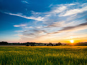 Sunset over arable farmland in Barrow Suffolk England