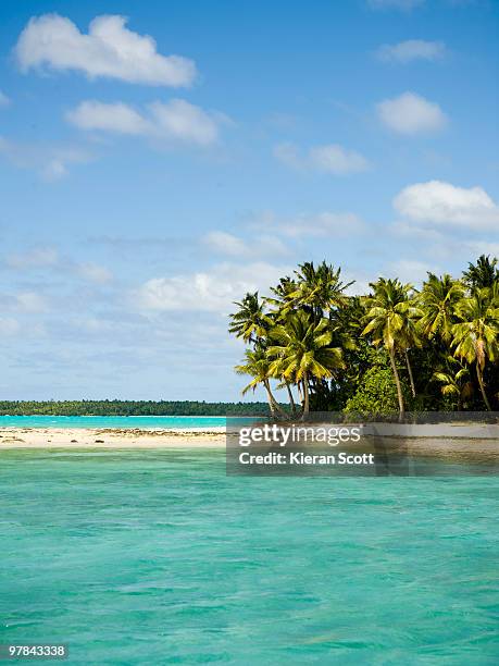 aitutaki, cook islands - aitutaki stock pictures, royalty-free photos & images