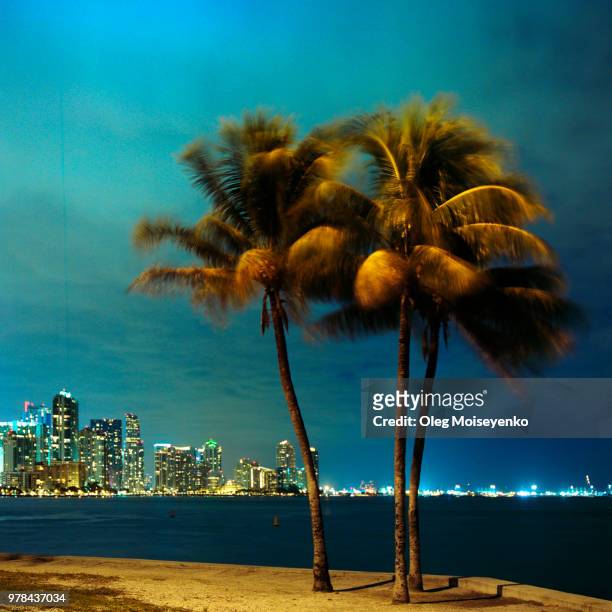 miami skyline at night - florida nightlife stock pictures, royalty-free photos & images