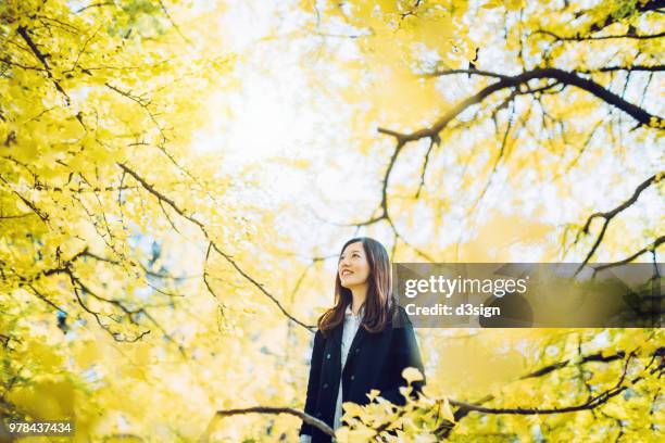 beautiful asian woman surrounded by golden gingko trees and enjoying the spectacular scenics and atmosphere - surrounding ストックフォトと画像