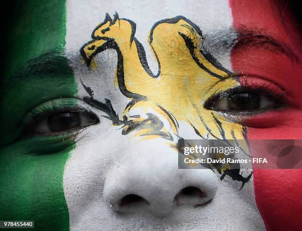 Mexican fan enjoy the atmosphere prior to the 2018 FIFA World Cup Russia group F match between Germany and Mexico at Luzhniki Stadium on June 17,...