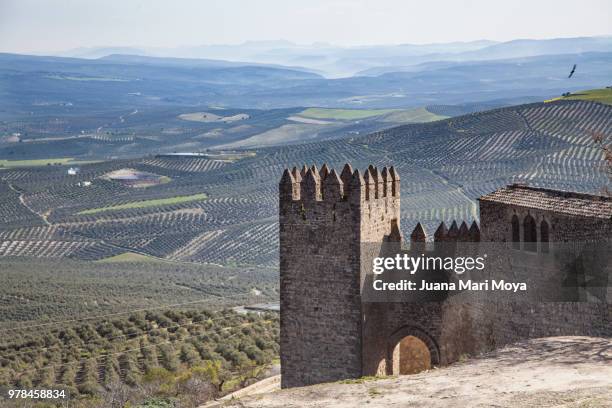 wall and immense view of the fields of olive trees from the village of sabiote, in the province of jaén. andalusia. spain - jaen province stockfoto's en -beelden