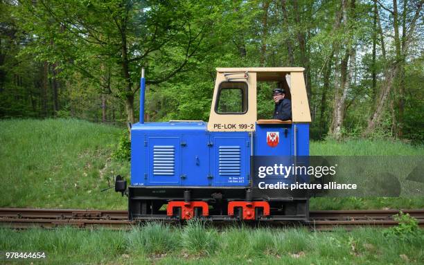 April 2016, Cottbus, Germany: Bennedict Fischer, train driver and station manager of the park railway Cottbus, controls the diesel locomotive 199-2,...