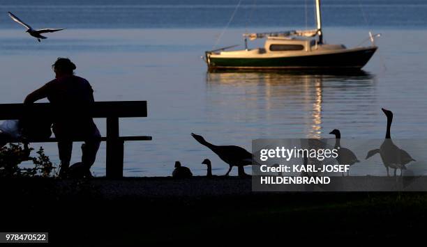 Geese, ducks and seagulls and a man on a bench sit on the banks of the Ammersee lake as the sun goes down on late June 18, 2018 near Diessen,...
