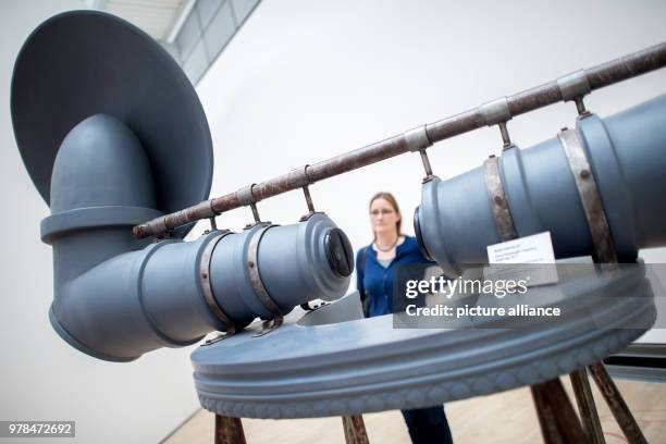 April 2018, Germany, Wolfsburg: A visitor looking at the artwork "Chorus" by Indian artist Reena Saini Kallat. The exhibition "Facing India" at the...