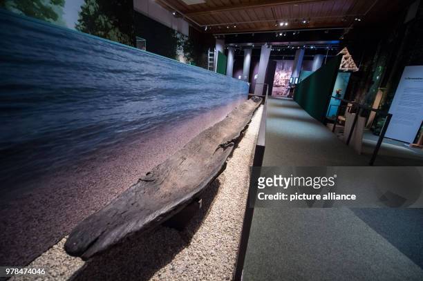 April 2018, Germany, Ettal: A 3,000-year-old dugout canoe, a type of raft, on display during a press tour at the Bayerische Landesausstellung 2018 ....