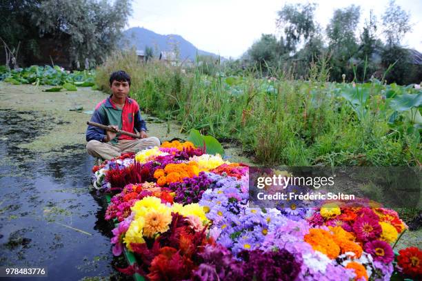 Kashmiri men gather with their boats laden with vegetables at the floating vegetable market on Dal Lake at dawn, Kashmir with beautiful nature...