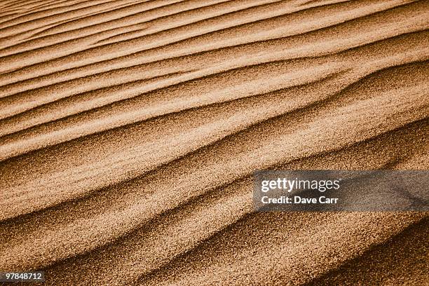Dessert Ripples 7,899 Desert Sand Ripples Stock Photos, High-Res Pictures, and Images ...