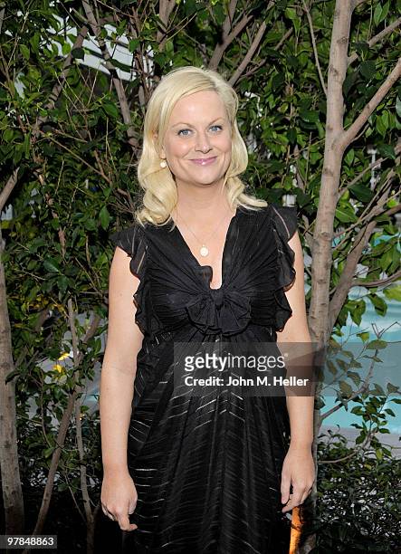 Actress/Writer/Comedian and Host Amy Poehler attends the Worldwide Orphans Foundation 5th California Benefit Reception at the Viceroy Hotel on March...
