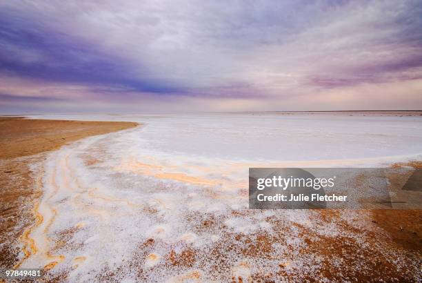 lake eyre salt lake - lake eyre stock pictures, royalty-free photos & images