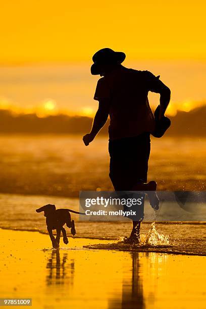 man jogging with his dog - mollypix stock pictures, royalty-free photos & images