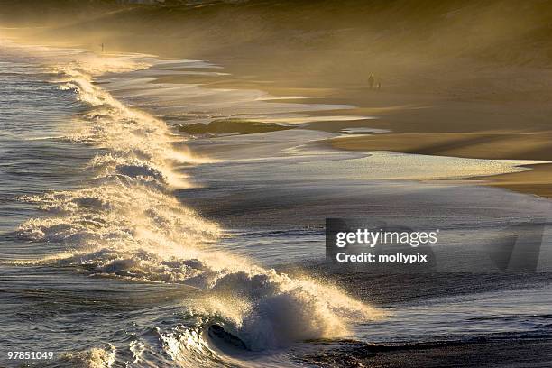 waves on a beach - mollypix stock pictures, royalty-free photos & images