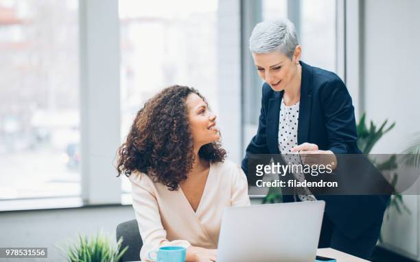 colleagues business woman working - leadership stock pictures, royalty-free photos & images