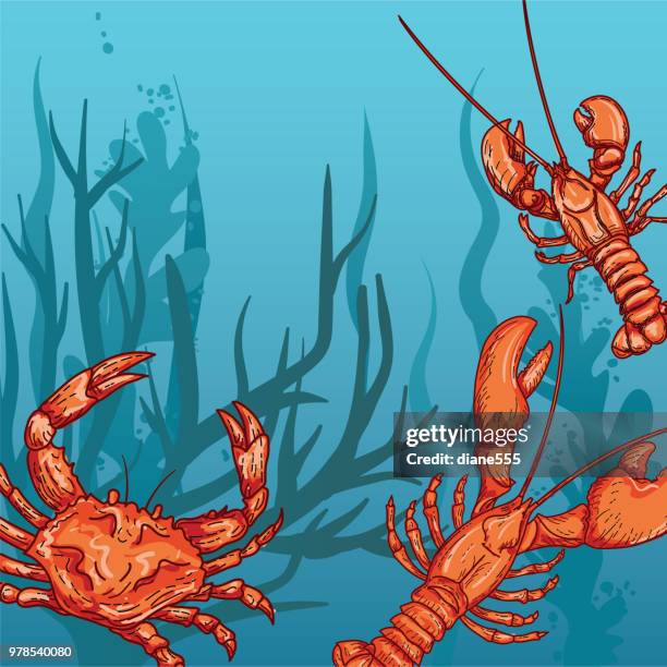 underwater scene with marine life and plants - surf and turf stock illustrations