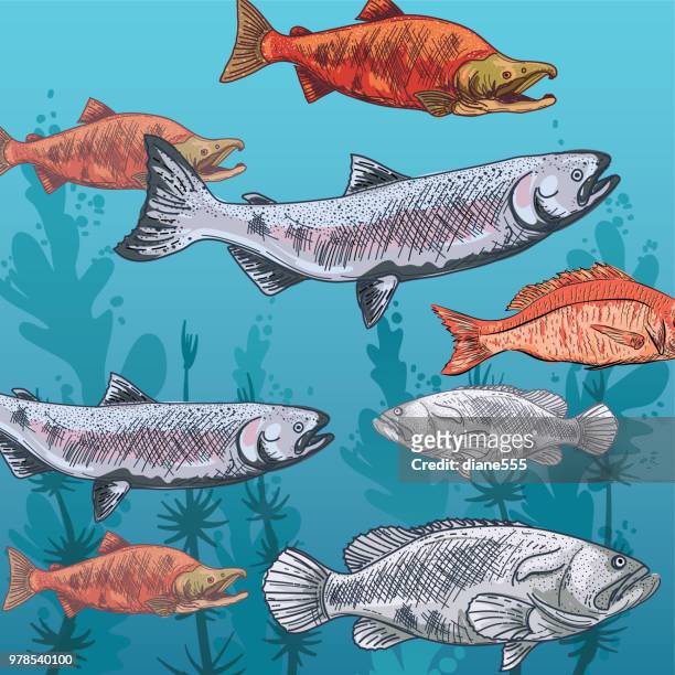 ilustraciones, imágenes clip art, dibujos animados e iconos de stock de escena bajo el agua con plantas y vida marina - mero