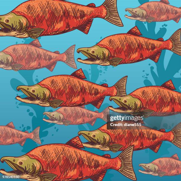 underwater scene with marine life and plants - coho salmon stock illustrations