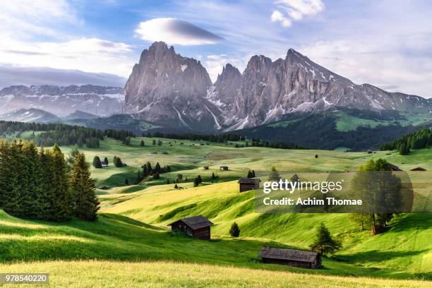 seiser alm, dolomite alps, italy, europe - dolomiti stock pictures, royalty-free photos & images