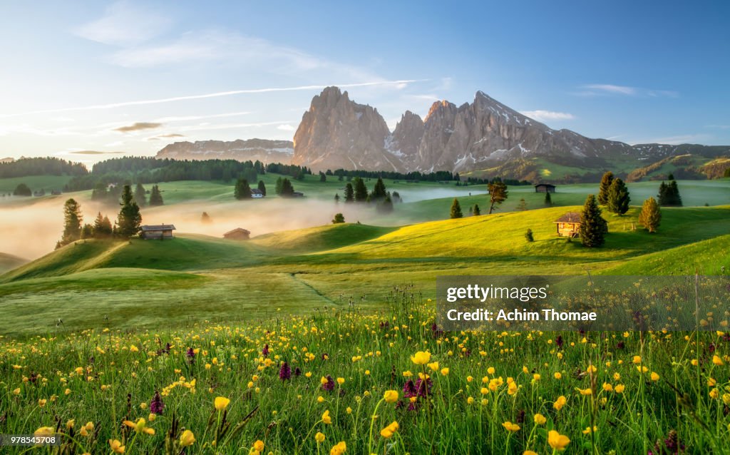Seiser Alm, Dolomite Alps, Italy, Europe