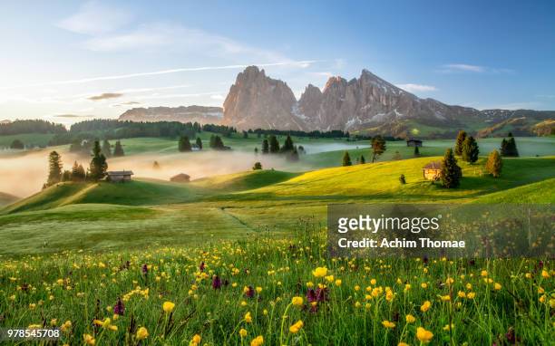 seiser alm, dolomite alps, italy, europe - idyllic landscape stock pictures, royalty-free photos & images