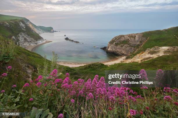 dorset jurassic coast hiking trail - england - jurassic stock pictures, royalty-free photos & images