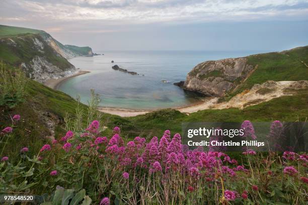 dorset jurassic coast hiking trail - england - durdle door stock pictures, royalty-free photos & images