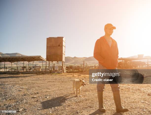 jovem, preparando-se para um dia em sua fazenda - divisa da calcio - fotografias e filmes do acervo