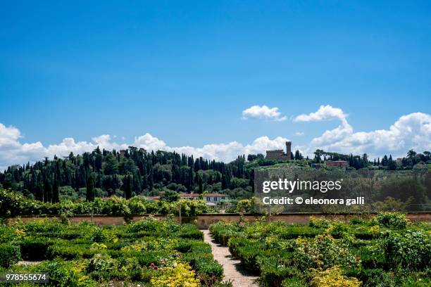 firenze - boboli gardens stock pictures, royalty-free photos & images