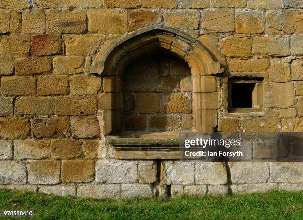 The ancient walls of Mount Grace Priory are bathed in morning light ahead of a media event to launch a new arts and craft style garden created by...