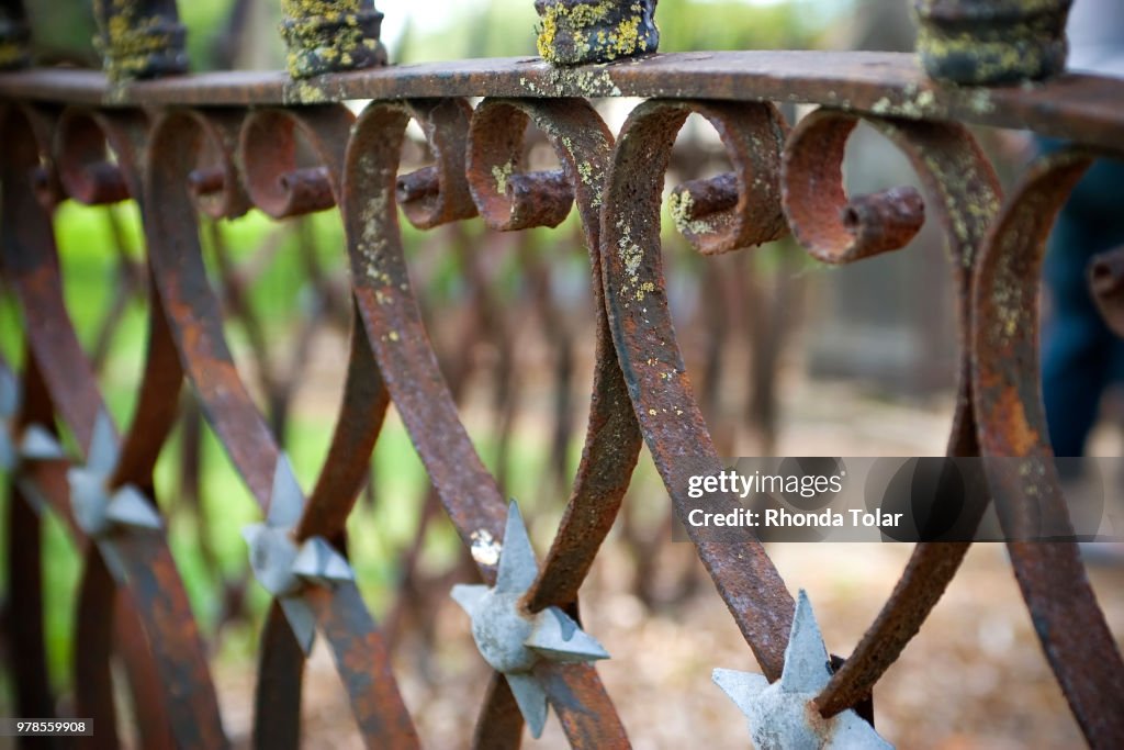 Fence of Hearts