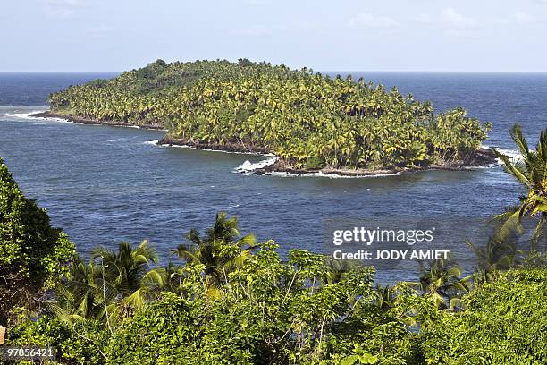 Picture taken on February 12, 2010 from the Royal Island, the largest of the Islands of Salvation in the Caribbean Sea off French Guiana, about 10...