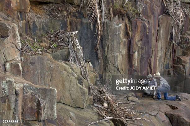 French geologist Eric Gilli examines a rock to find trail of a possible tsunami in 1855 in the Iles du Salut in French Guiana, about 10 miles from...