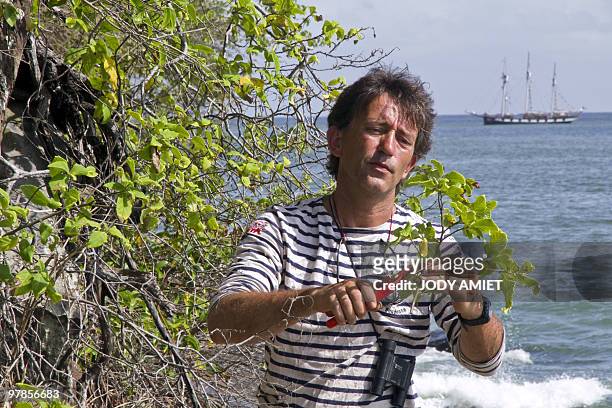 French botanical researcher Bruno Bordenave cuts a plant on Royal Island, the largest of the Islands of Salvation in the Caribbean Sea off French...