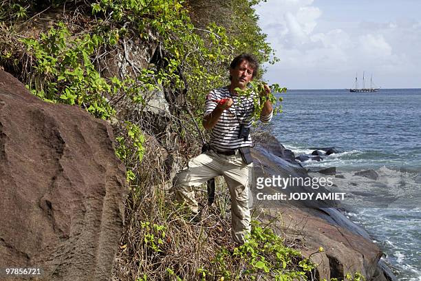 French botanical researcher Bruno Bordenave cuts a plant on Royal Island, the largest of the Islands of Salvation in the Caribbean Sea off French...