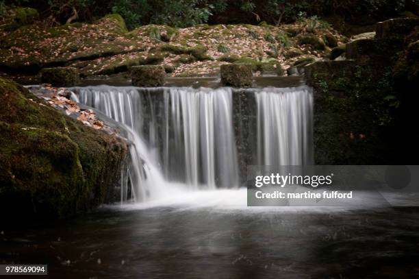 tollymore forest waterfall - fulford stock pictures, royalty-free photos & images