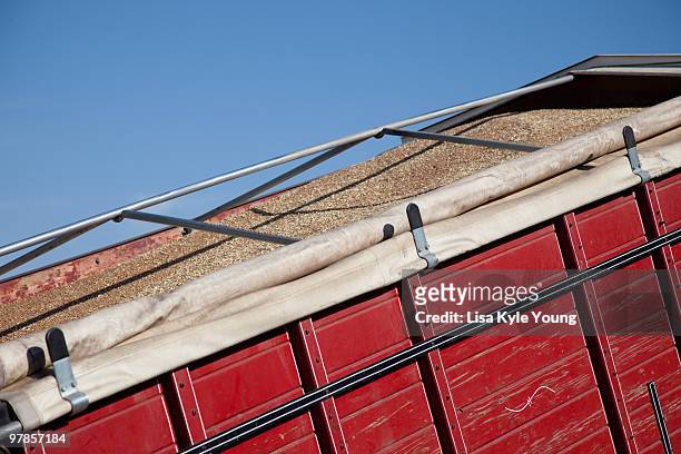grain truck full of wheat - kyle thousand stock pictures, royalty-free photos & images