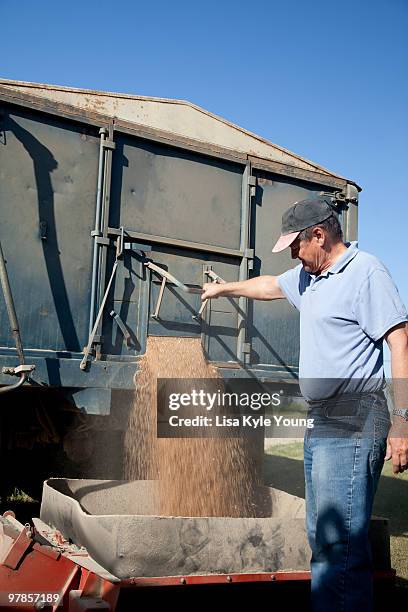 opening grain door - kyle thousand stock pictures, royalty-free photos & images