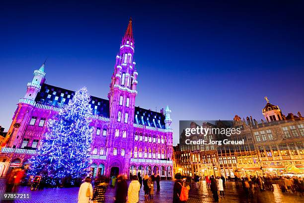 christmas tree, town hall on grand place (dusk) - belgium christmas stock pictures, royalty-free photos & images