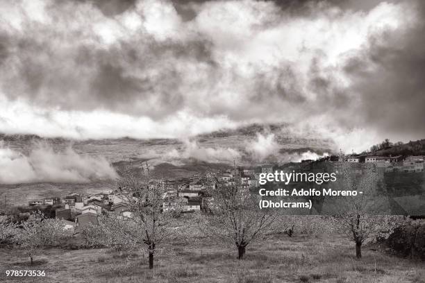 levantando la niebla - levantando 個照片及圖片檔