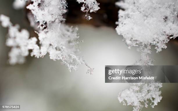 snow flakes iv - frosted flakes stock pictures, royalty-free photos & images