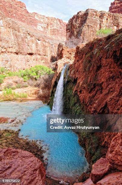 havasu falls, arizona, usa - havasu falls 個照片及圖片檔