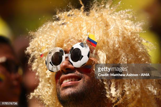 Fan of Colombia looks on wearing a Carlos Valderrama wig prior to the 2018 FIFA World Cup Russia group H match between Colombia and Japan at Mordovia...