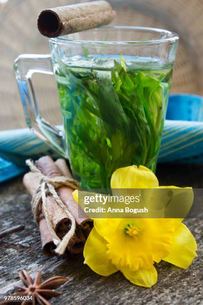 estragon lemonade - estragon stock pictures, royalty-free photos & images