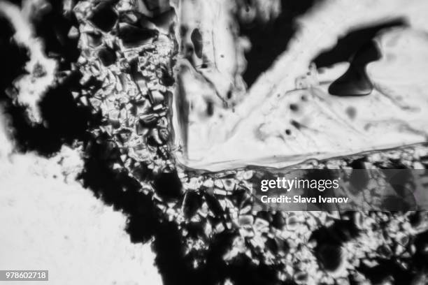 The Rorschach Pattern 76 Rorschach Pattern Stock Photos, High-Res Pictures, and Images ...