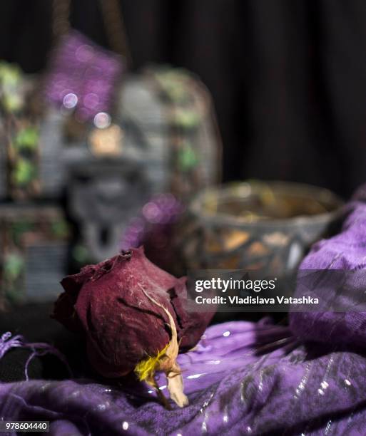 nature morte - morte stock pictures, royalty-free photos & images