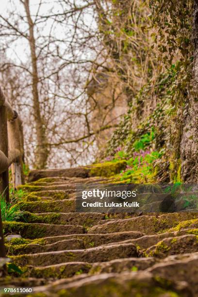 moss on stone steps, franconian switzerland, germany - oberfranken stock-fotos und bilder
