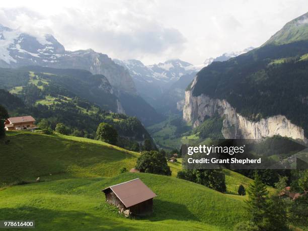 mountains and green valley, hopfgarten, switzerland - hopfgarten stock pictures, royalty-free photos & images